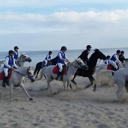 Rosa Canina, W1 شقة *