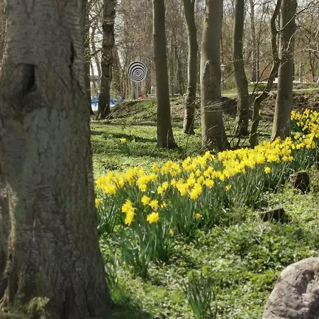 Rosa Canina, W1 * كيلينهوسن